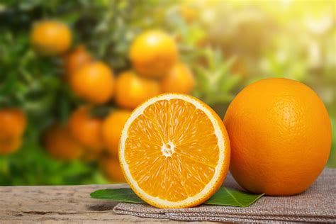 Is it OK to eat 10 oranges a day?